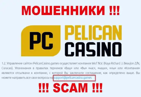 Ни за что не рекомендуем писать сообщение на е-майл интернет-кидал PelicanCasino Games - оставят без денег моментально