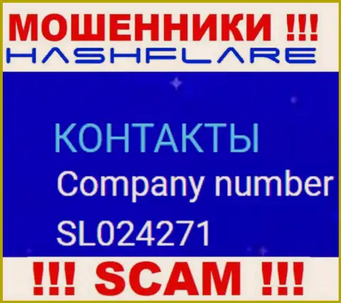 Номер регистрации, под которым зарегистрирована компания Хэш Флэер: SL024271