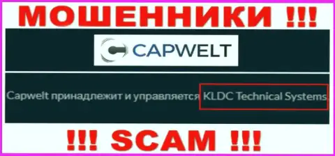 Юр лицо организации CapWelt - это КЛДЦ Техникал Системс, информация позаимствована с официального сайта