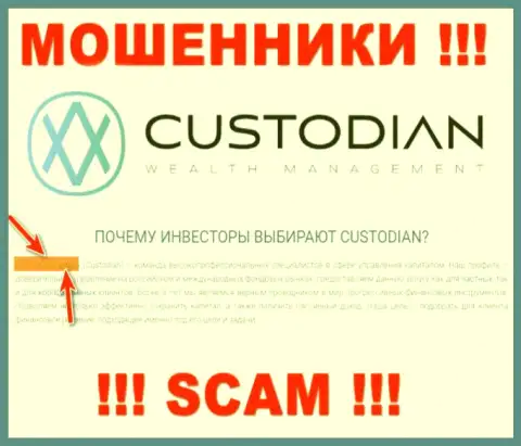Юридическим лицом, управляющим internet шулерами Custodian, является ООО Кастодиан