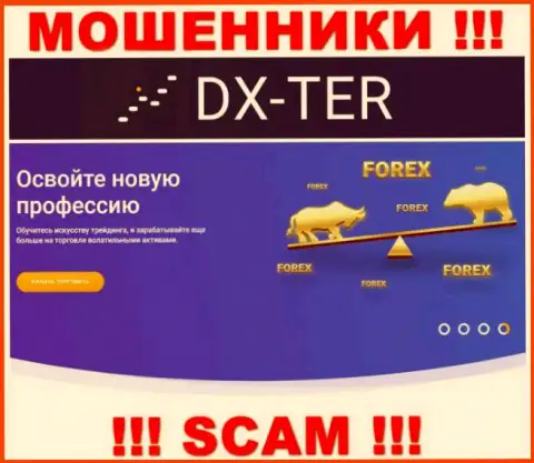 С компанией DX Ter работать нельзя, их направление деятельности FOREX это ловушка