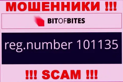 Регистрационный номер компании BitOfBites, который они указали на своем сайте: 101135