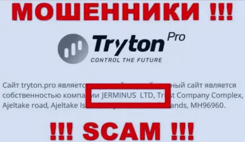 Данные об юридическом лице Тритон Про - это контора Jerminus LTD