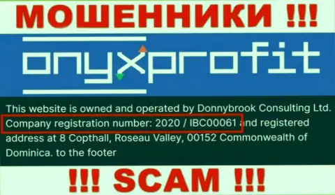 Номер регистрации, который принадлежит конторе Оникс Профит - 2020 / IBC00061