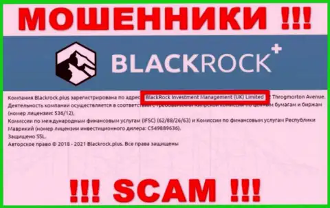 Владельцами BlackRock Plus оказалась компания - БлэкРок Инвестмент Менеджмент (УК) Лтд