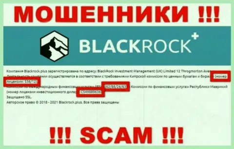 BlackRock Plus скрывают свою жульническую суть, представляя на своем сайте лицензию