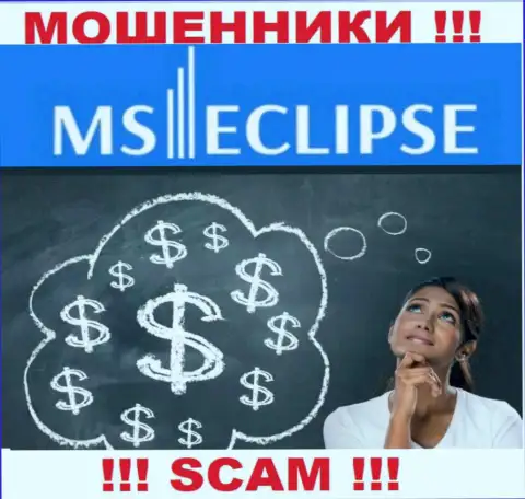 Совместное сотрудничество с дилинговой организацией MSEclipse Com доставит только одни убытки, дополнительных налогов не погашайте