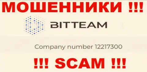 Регистрационный номер конторы BitTeam - 12217300
