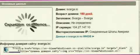 Возраст доменного имени ФОРЕКС компании Сварга, согласно инфы, которая получена на интернет-ресурсе doverievseti rf